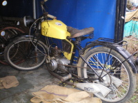 Prester Jonghi